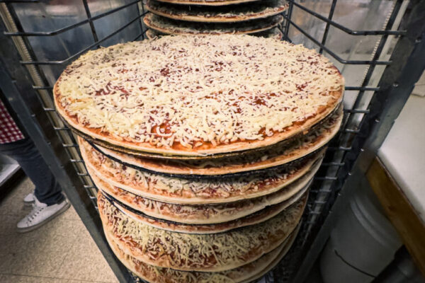 FrankiWeb-07 FrankiWeb-07